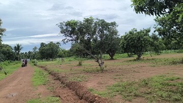 Plot Area in  Plot at Sabbavaram – for Sale