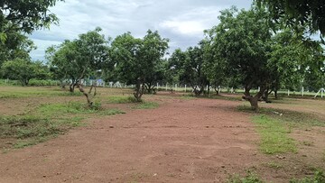 Plot Area in  Plot at Sabbavaram – for Sale