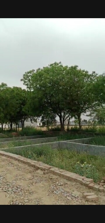 Plot Area in  Plot at Noida World One, Sector 90 – for Sale