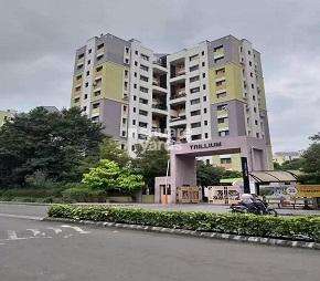 2 BHK Apartment For Rent in Magarpatta Trillium Hadapsar Pune  7597219