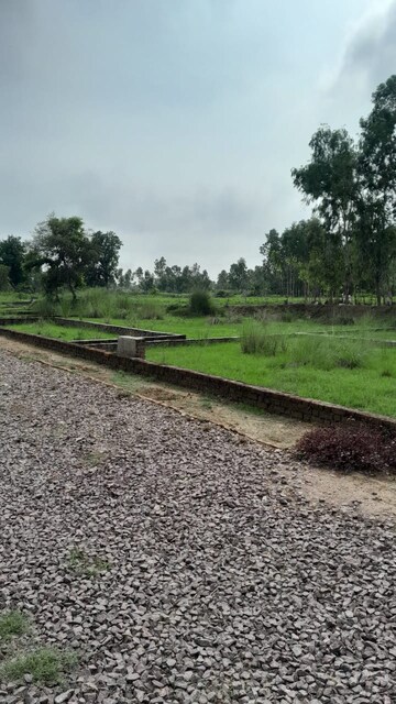  Plot For Sale in Kisan Path
