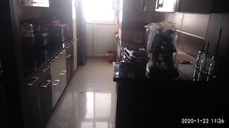 2 BHK Builder Floor For Rent in RWA Apartments Sector 52 Sector 52 Noida  7597463