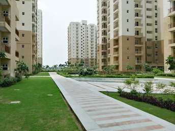 3 BHK Apartment For Resale in Paramount Emotions Noida Ext Sector 1 Greater Noida  7597445