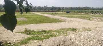  Plot For Sale in Doiwala