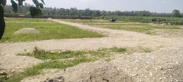 Plot Area in  Plot at Doiwala – for Sale