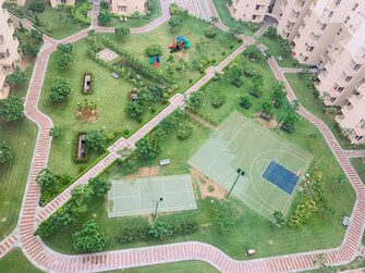 3 BHK Apartment For Resale in Paramount Emotions Sector 1 Greater Noida Greater Noida  7597628