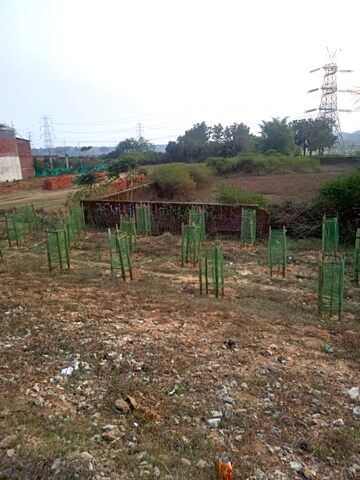 Commercial Land 24000 Sq.Ft. For Rent in Angara Ranchi  7597625