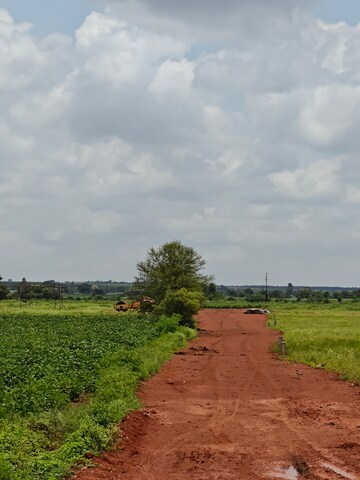 Plot Area in  Plot at Digwal – for Sale