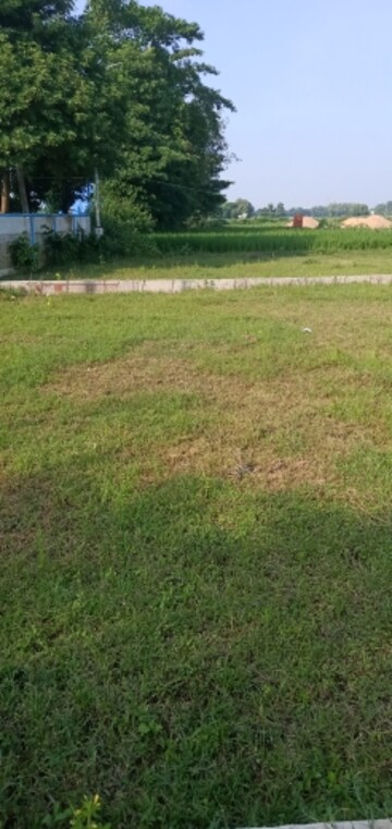  Plot – Exterior View View at Bihta - for Sale