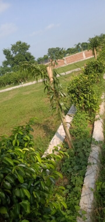  Plot – Exterior View View at Bihta - for Sale