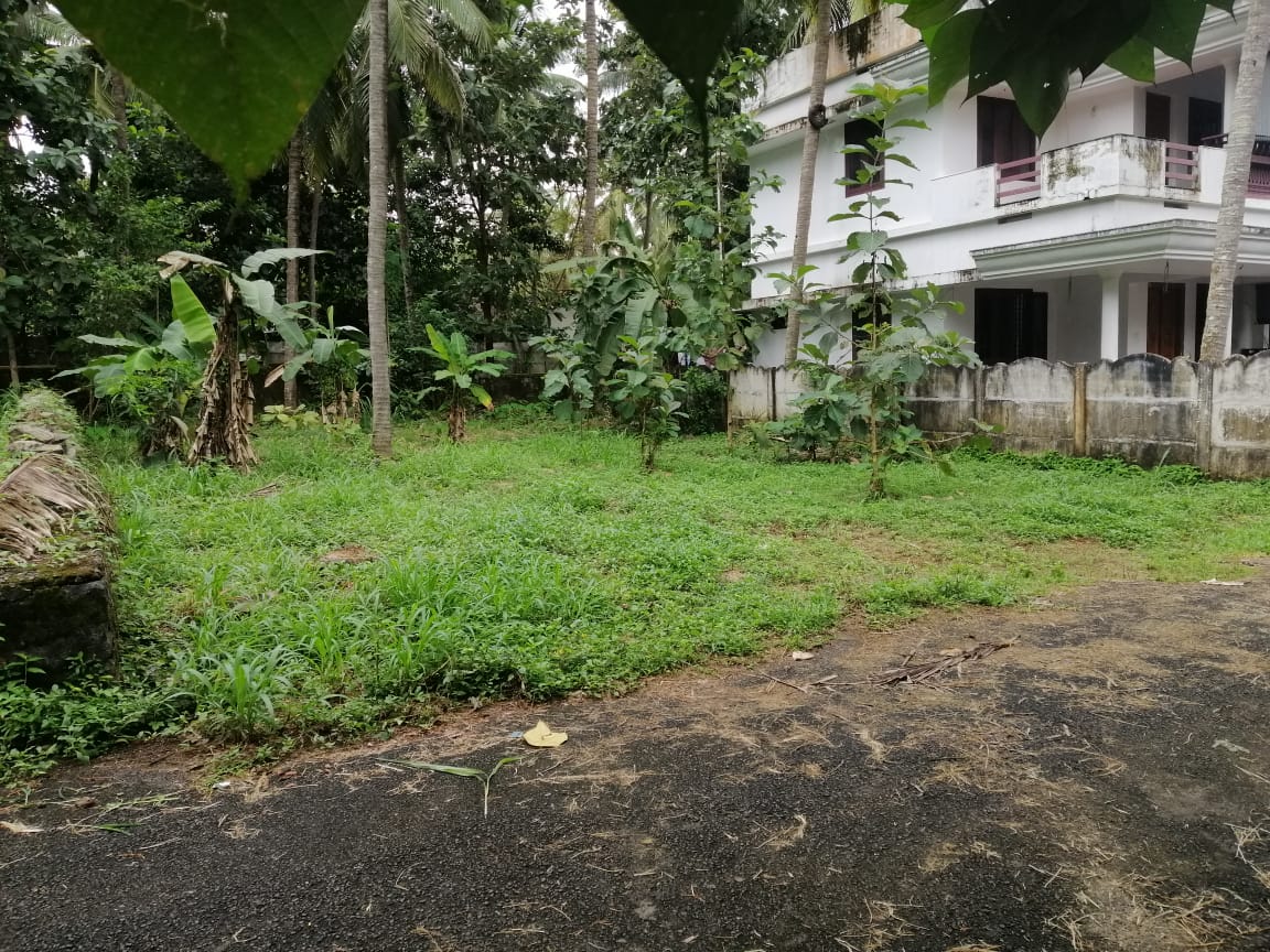 Plot For Resale in Kuttanellur Thrissur  7597901