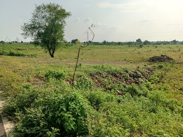 Plot Area in  Land at Borkhedi – for Sale