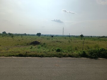 Plot Area in  Land at Borkhedi – for Sale