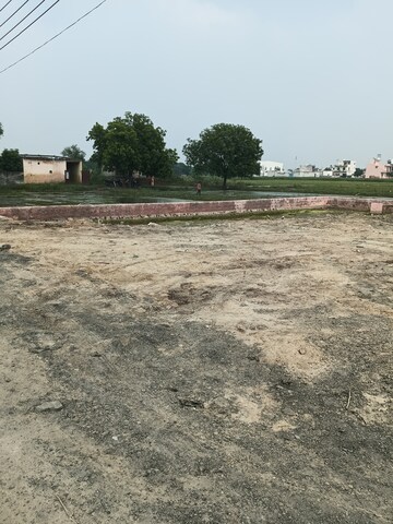 Plot For Resale in Shiv Colony Delhi  7598304