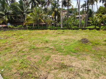 Plot For Resale in Poojapura Thiruvananthapuram  7598394