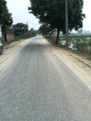  Plot For Sale in Buddha Marg