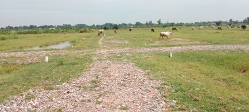  Plot For Sale in Jewar