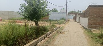 Plot Area in  Plot at Mubarakpur – for Sale