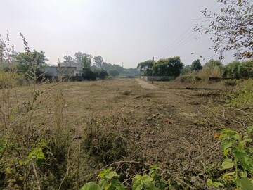 Plot Area in  Plot at Mubarakpur – for Sale