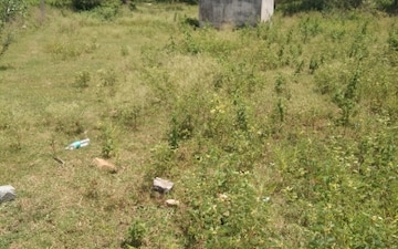 Plot For Sale in Munganoor