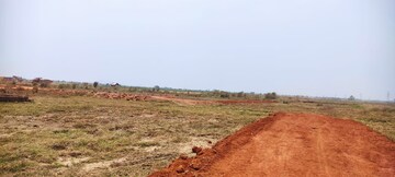 Plot Area in  Plot at Padmakesarpur – for Sale