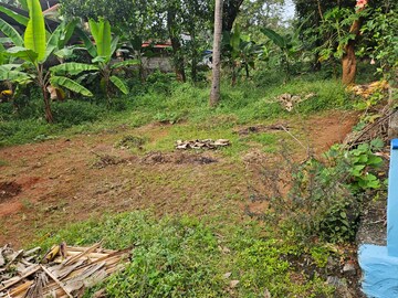 Plot For Resale in Ayyanthole Thrissur  7599183