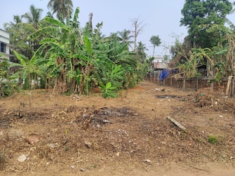 Plot For Resale in Ayyanthole Thrissur  7599183