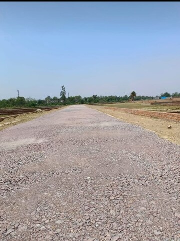 Plot Area in  Plot at Safedabad – for Sale