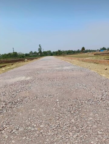 Plot Area in  Plot at Safedabad – for Sale