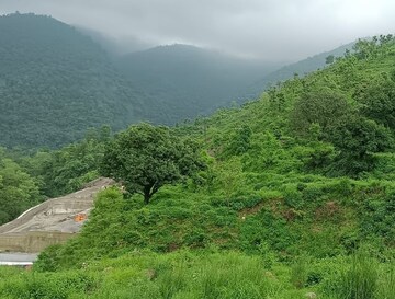  Plot For Sale in Jolly Grant