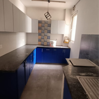 3 BHK Builder Floor For Rent in Hauz Rani Delhi  7600408