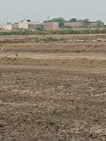 Plot For Resale in Sohna Sector 3 Gurgaon  7600718