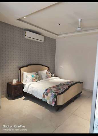 3 BHK Builder Floor For Resale in Shalimar Bagh Delhi  7600826