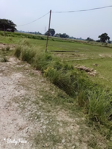 Plot Area in  Plot at Ramnagar – for Sale