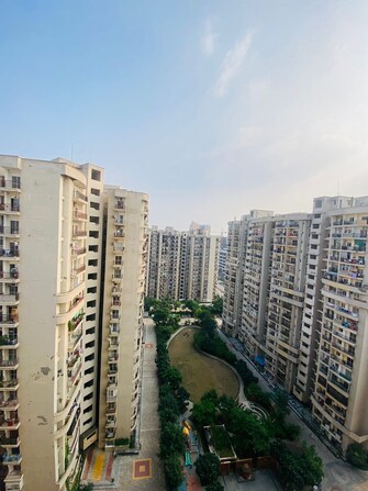 2 BHK Apartment For Resale in Aims Golf Avenue II Sector 75 Noida  7601991