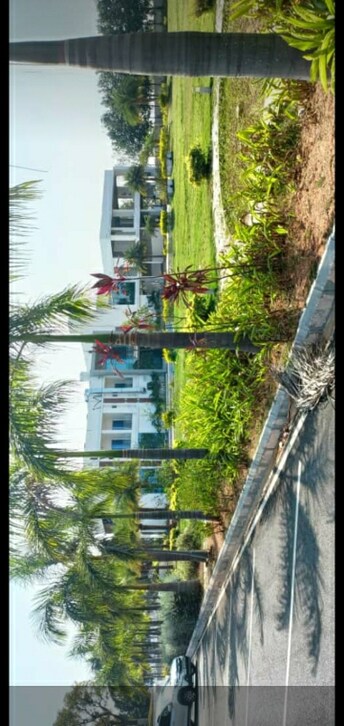 Plot For Resale in Munganoor Hyderabad  7602022