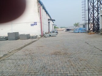 Commercial Warehouse 9100 Sq.Mt. For Resale in Jamalpur Gurgaon  7565012