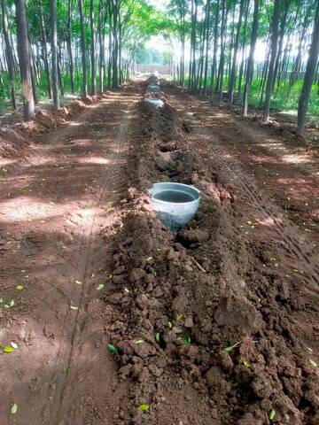Plot Area in  Plot at Kolanupaka – for Sale