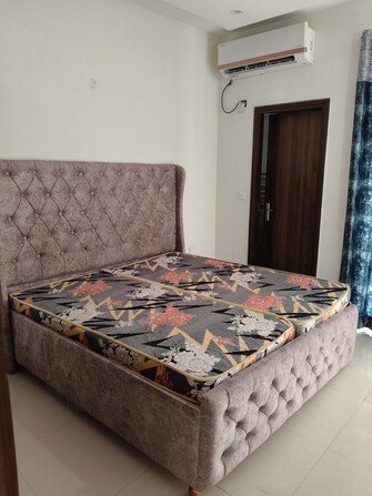 3 BHK Apartment For Rent in Aerocity Mohali  7603258