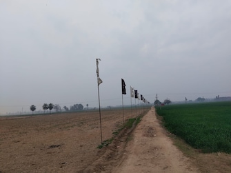 Plot For Resale in Mullanpur Mohali  7603236