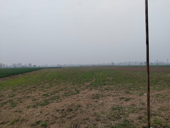 Plot For Resale in Mullanpur Mohali  7603236