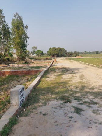 Plot For Resale in Sultanpur Road Lucknow  7603249