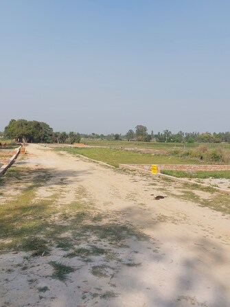 Plot For Resale in Sultanpur Road Lucknow  7603249