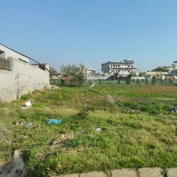 Commercial Land 422 Sq.Yd. For Resale in Chandigarh Ambala Highway Zirakpur  7603317