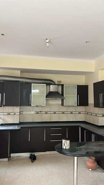 3 BHK Apartment For Rent in Parsvnath Green Ville Sector 48 Gurgaon  7603336