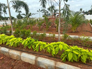  Plot – Exterior View View at Sri Bhumi Eeshaanya, Kankipadu - for Sale