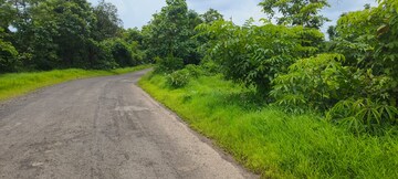  Plot – Exterior View View at Mangaon - for Sale