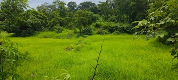  Plot For Sale in Mangaon
