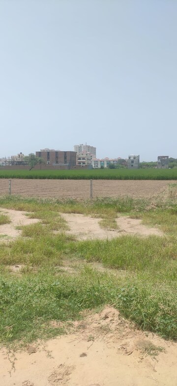 Plot Area in  Plot at Sector 127 – for Sale