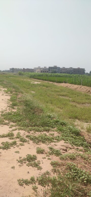  Plot For Sale in Sector 127